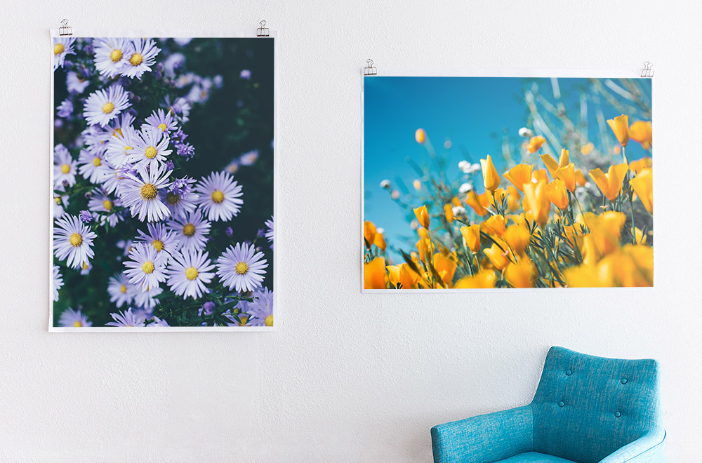 Where to Find Free Photos to Decorate Your Home