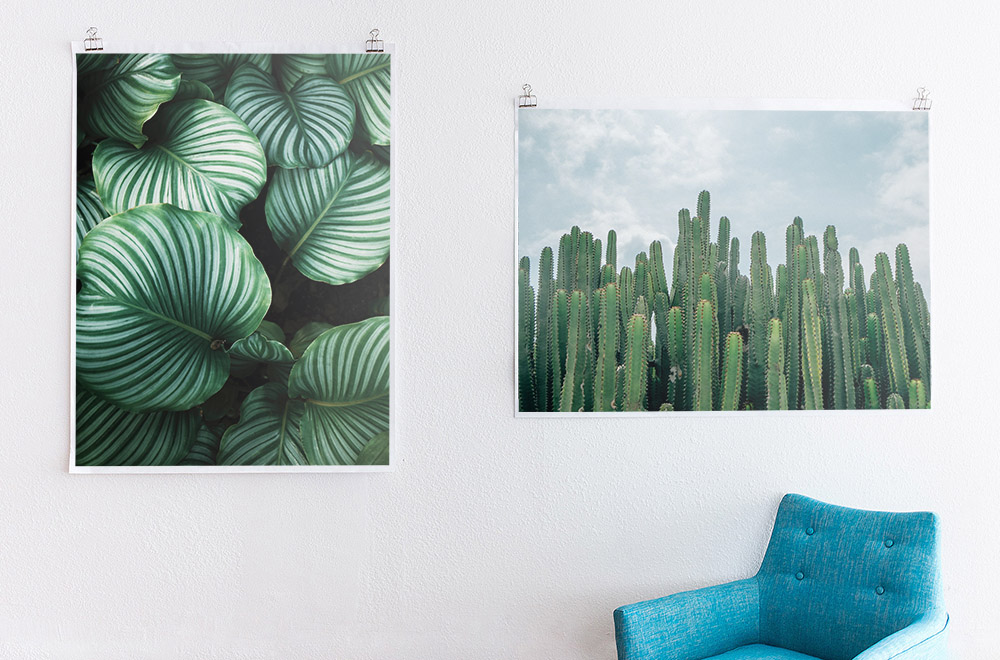 Where to Find Free Photos to Decorate Your Home