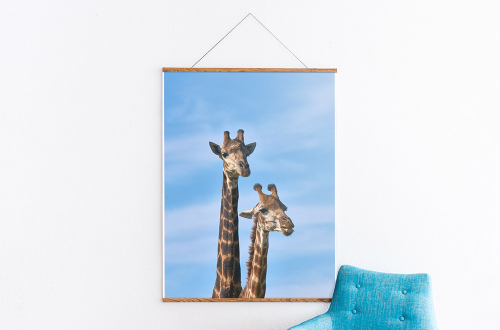 Where to Find Free Photos to Decorate Your Home