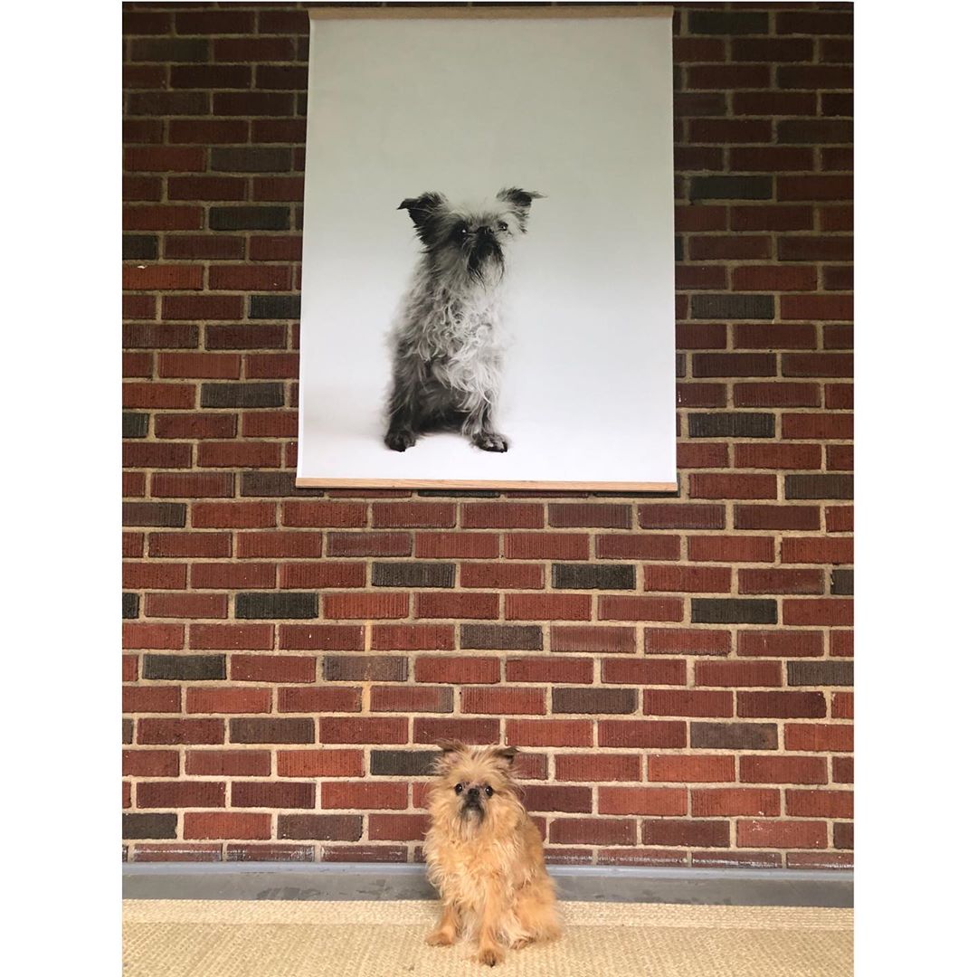 Fill Your Space with Joy: Simple Ideas for Outdoor Photo Décor
