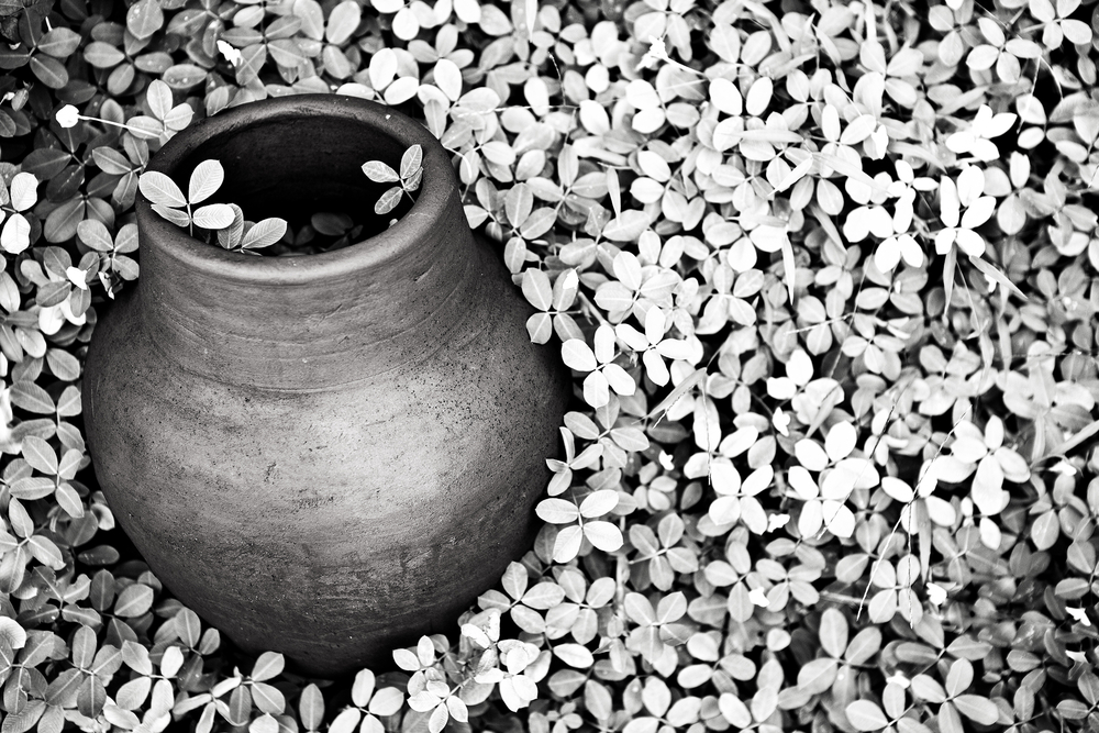 Seven Secrets for Black and White Photography