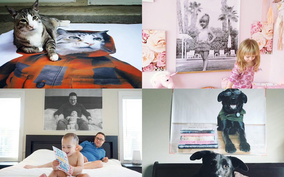 People and Pets in Front of Prints of Themselves