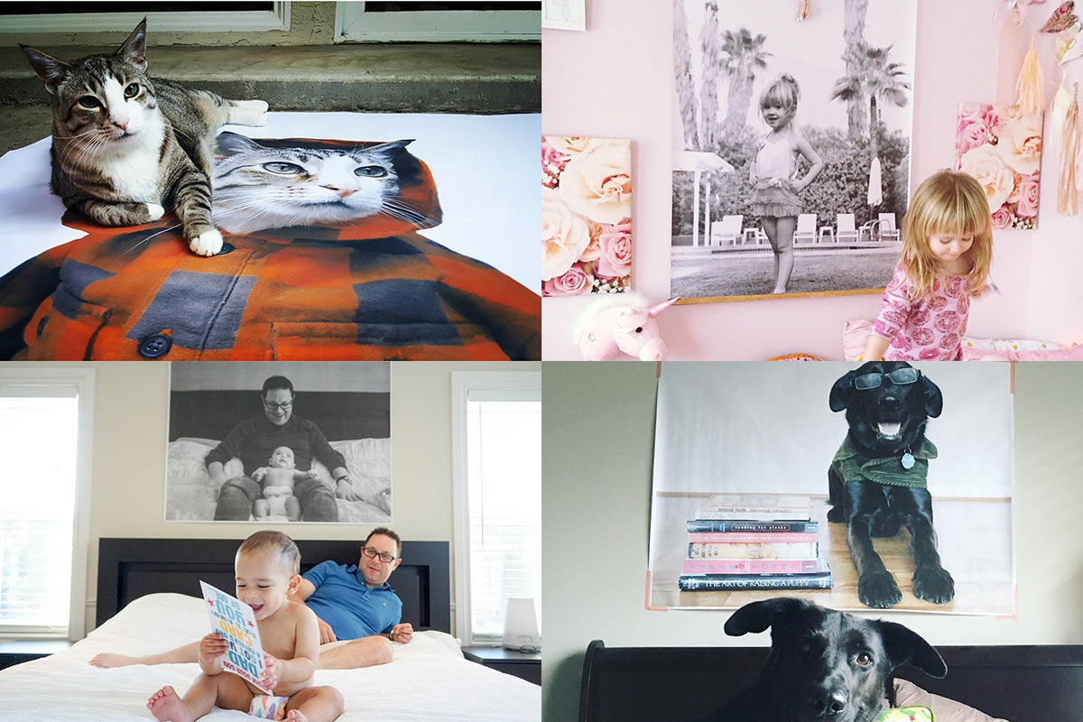 People and Pets in Front of Prints of Themselves