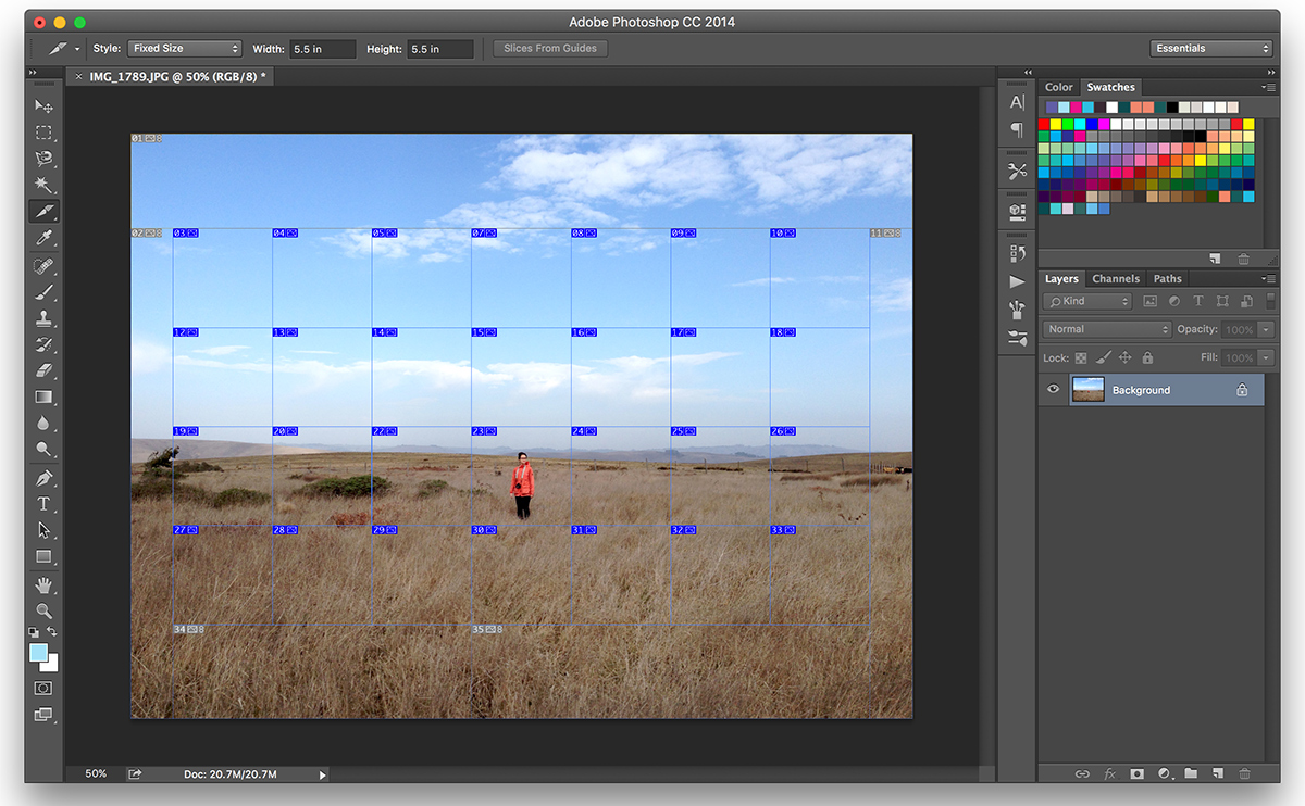 How to Turn One Photo into a Square Print Grid