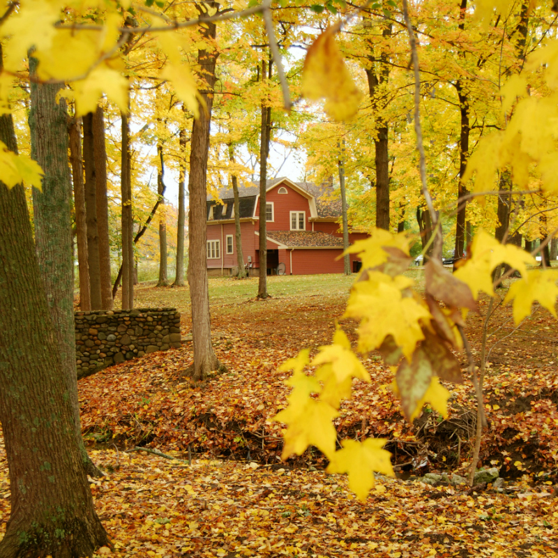 Fall In Love With Fall: How To Shoot Autumn Colors