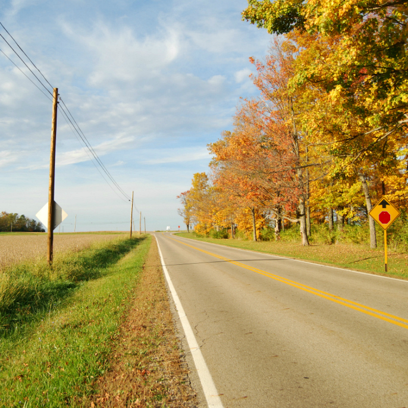 Fall In Love With Fall: How To Shoot Autumn Colors