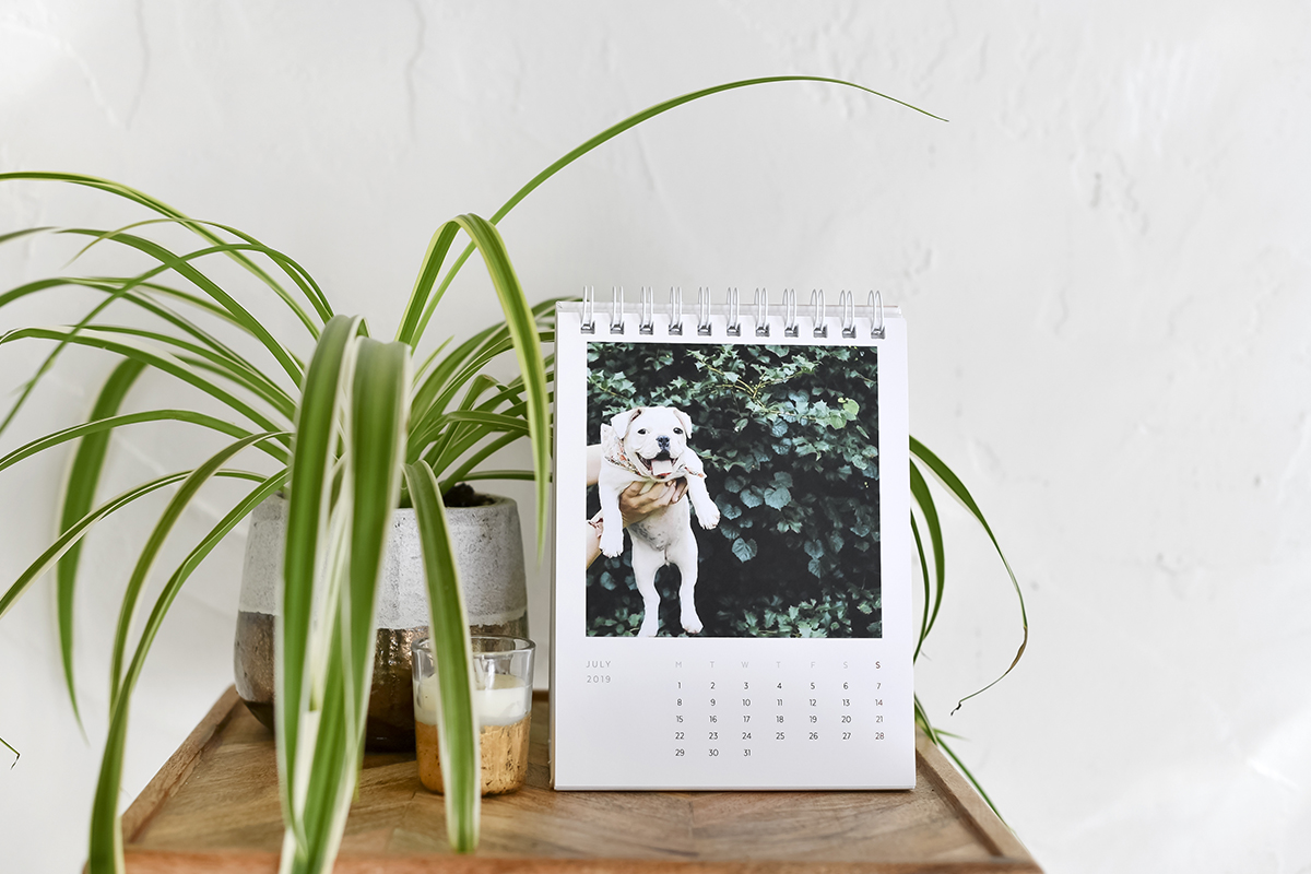 Which Parabo Photo Calendar is Right for You?