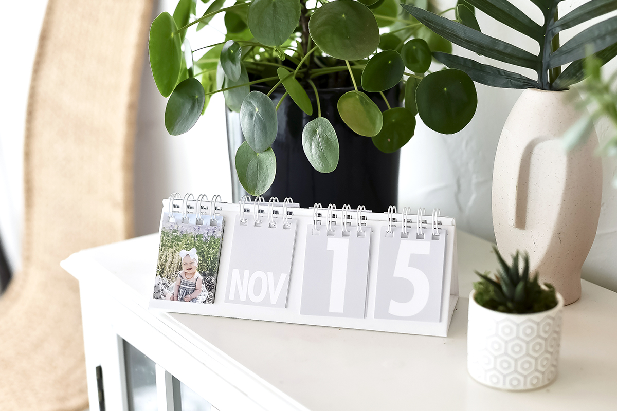 Which Parabo Photo Calendar is Right for You?