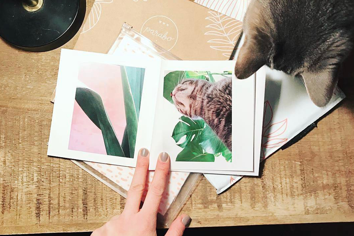 Print Your Purr-fect Pet Photos