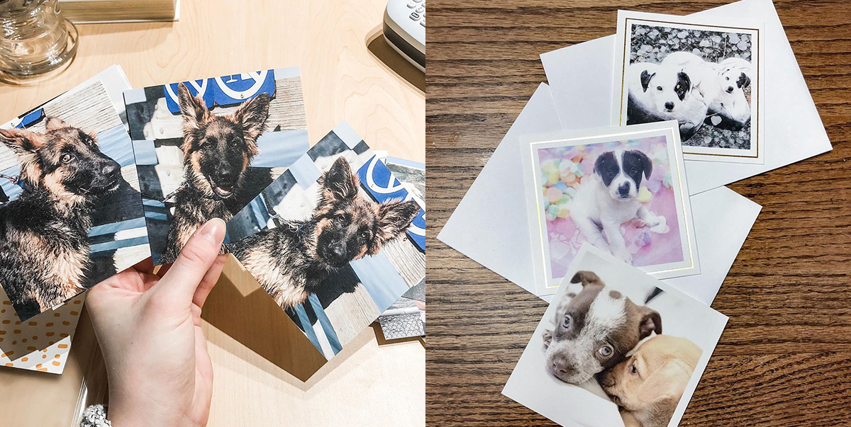 Print Your Purr-fect Pet Photos