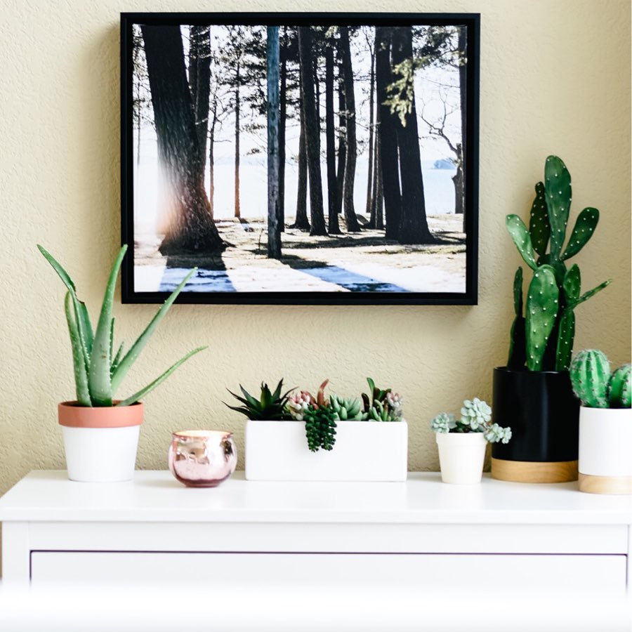 photo canvas print home design