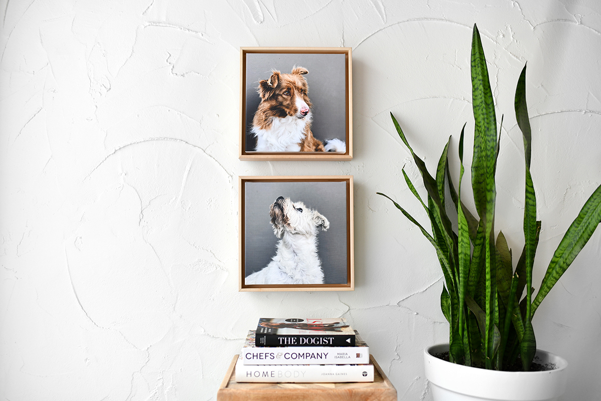 3 Ways to Update Your Walls in 2020