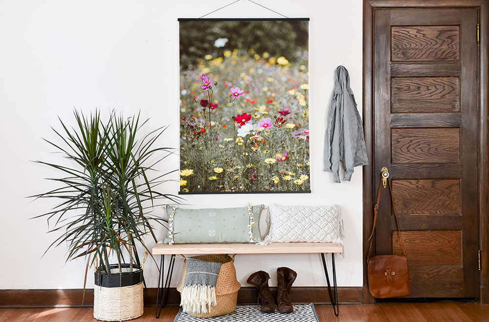 Where to Find Free Photos to Decorate Your Home