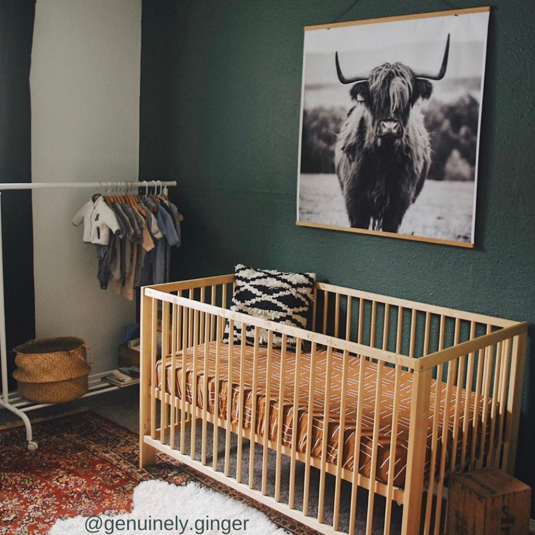 Spring Home Decor Trends