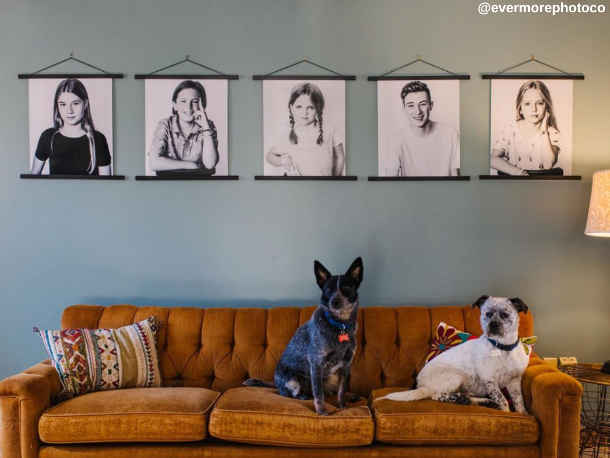 20 Photo Wall Ideas You Need to Try