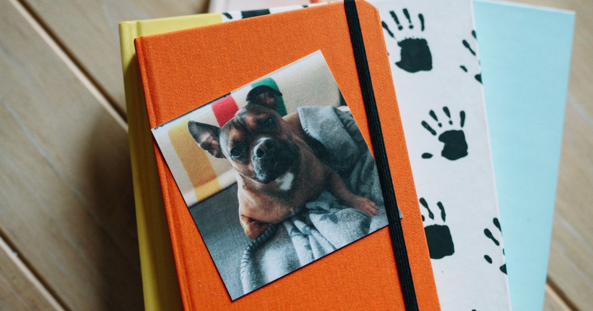 How to Tell a Story Through a Print Set