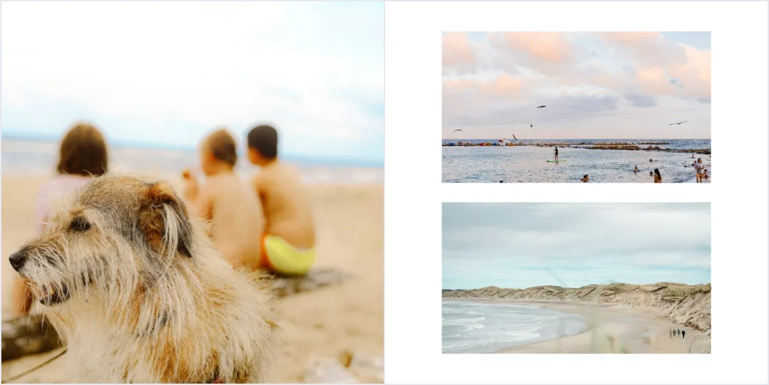 The same spread with one dog photo on the full left page and two wide beach views stacked on the right page